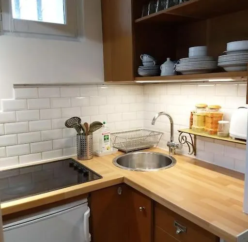 Daire Impeccable & Typical In The Marais *